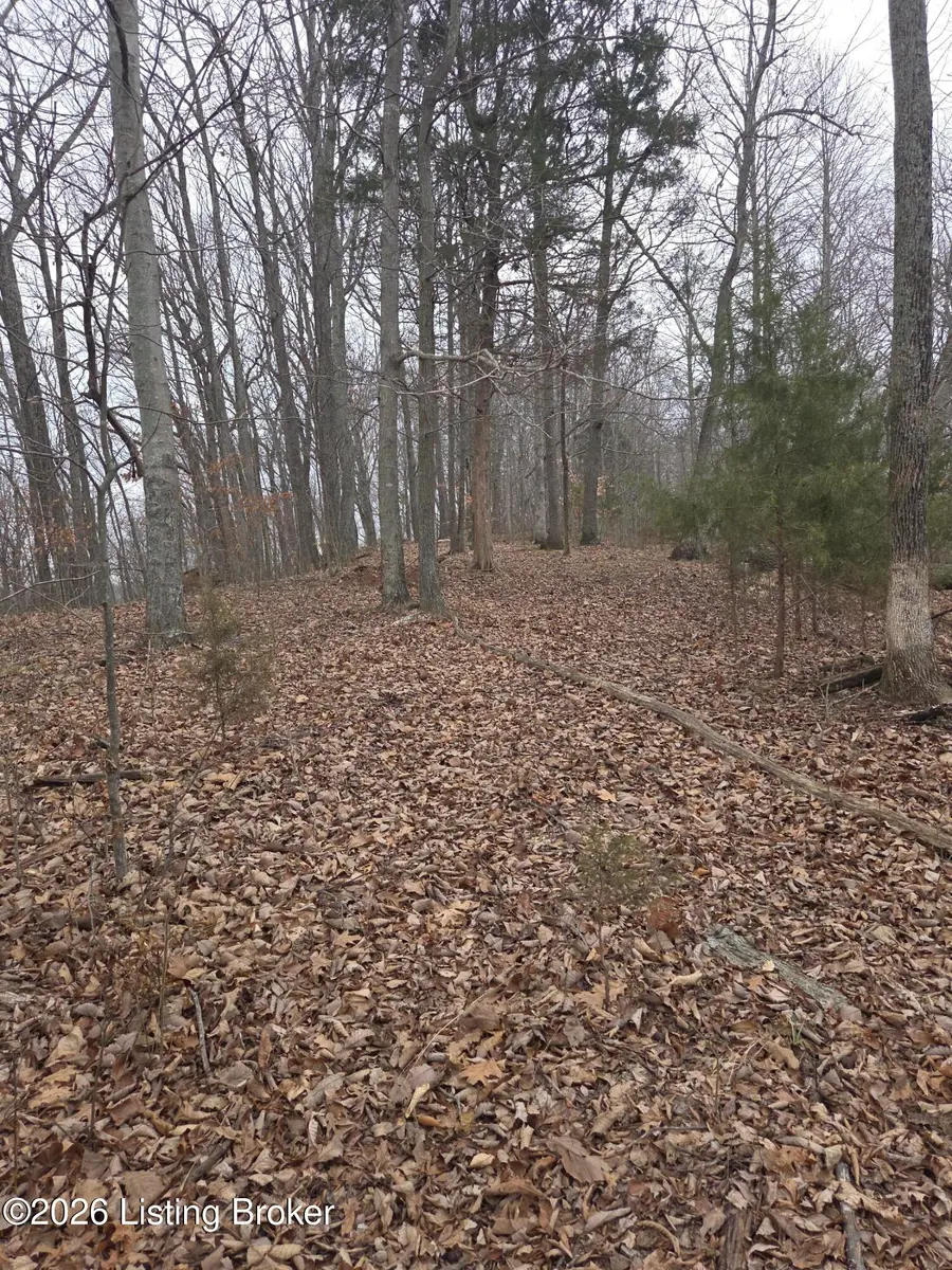 1 Hillcrest Ln, Cub Run, KY 42729 - #2