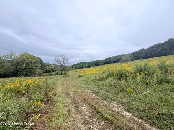 0 Hwy 355, Worthville, KY 41098