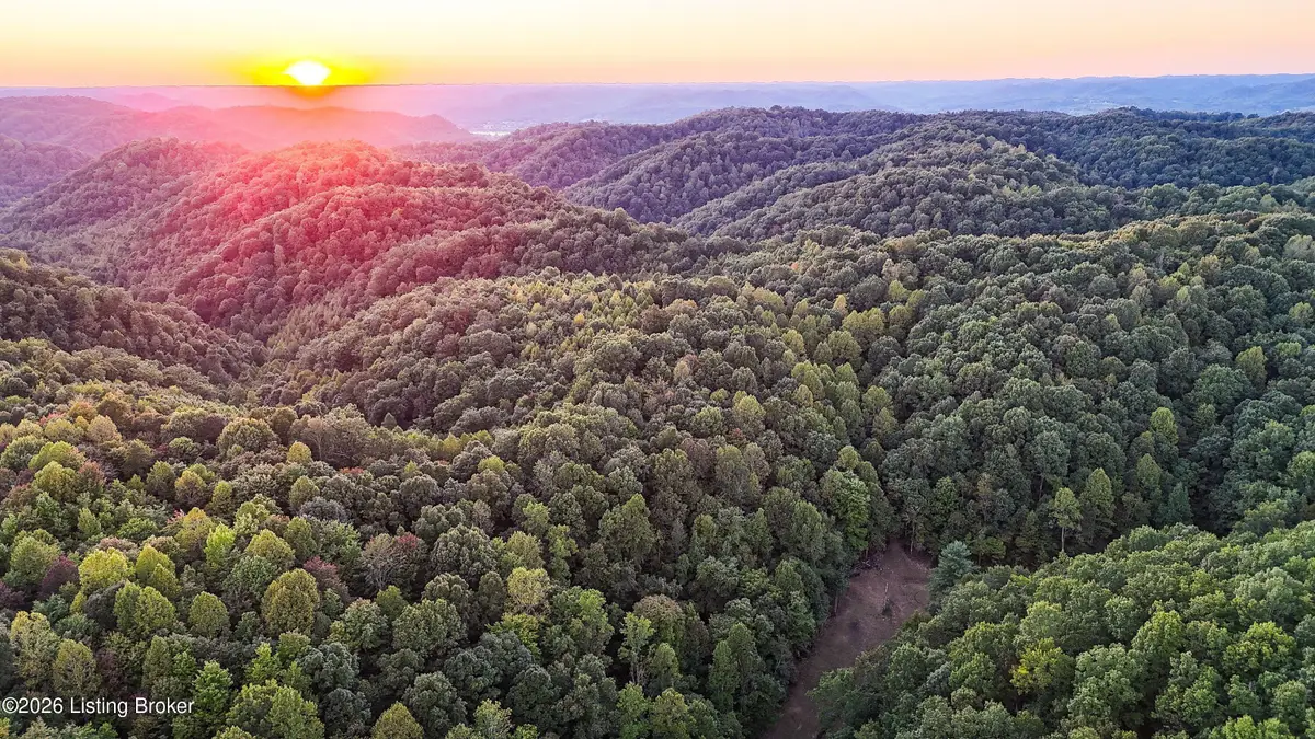 299 Musser Fork Rd, South Shore, KY 41175 - #1