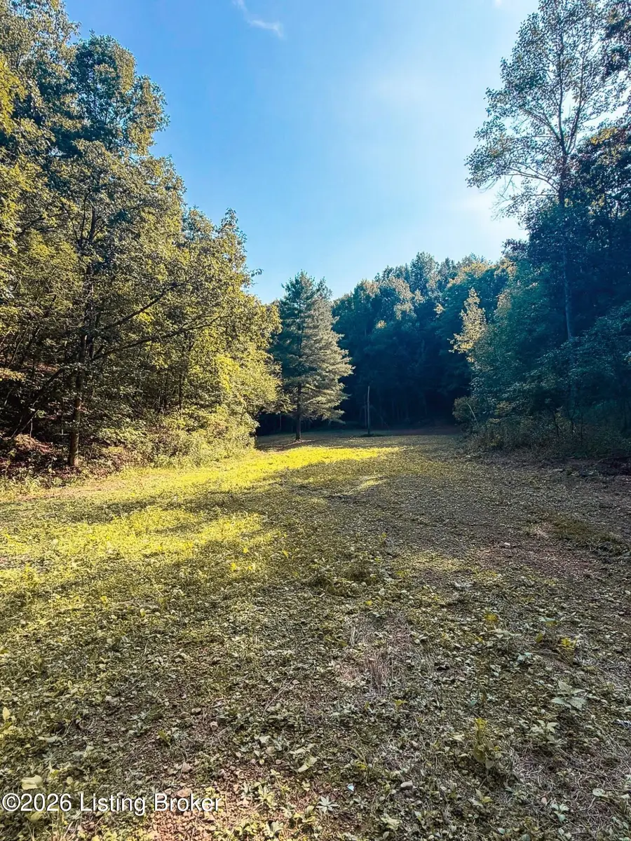 299 Musser Fork Rd, South Shore, KY 41175 - #2