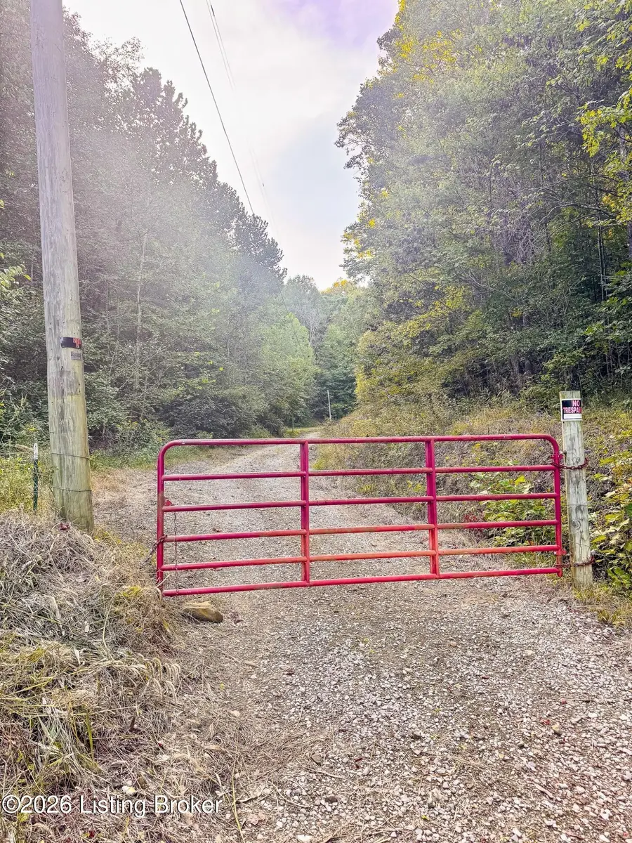 299 Musser Fork Rd, South Shore, KY 41175 - #3