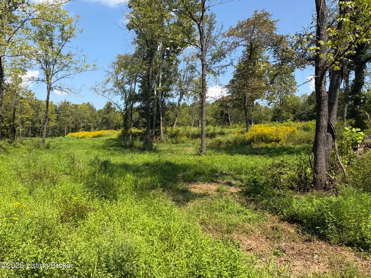 2679 Carl Newby Rd, Falls Of Rough, KY 40119 - #1
