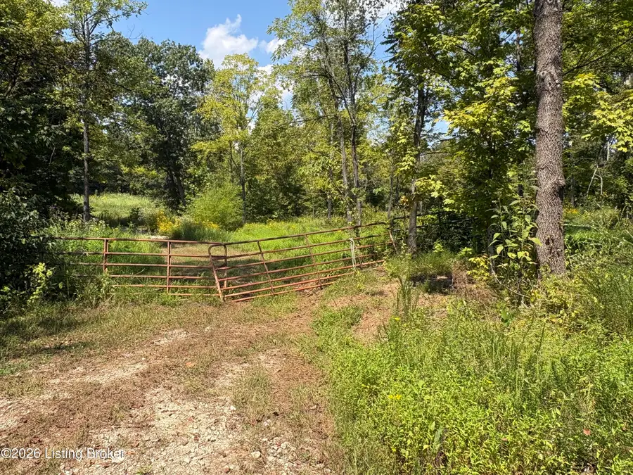 2679 Carl Newby Rd, Falls Of Rough, KY 40119 - #3