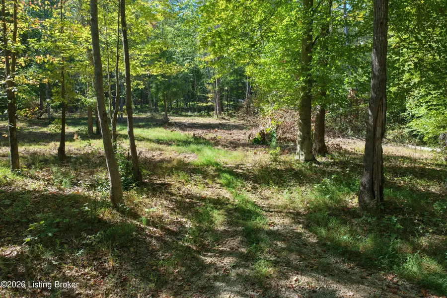 0 Rockledge Rd, Falls Of Rough, KY 40119 - #2