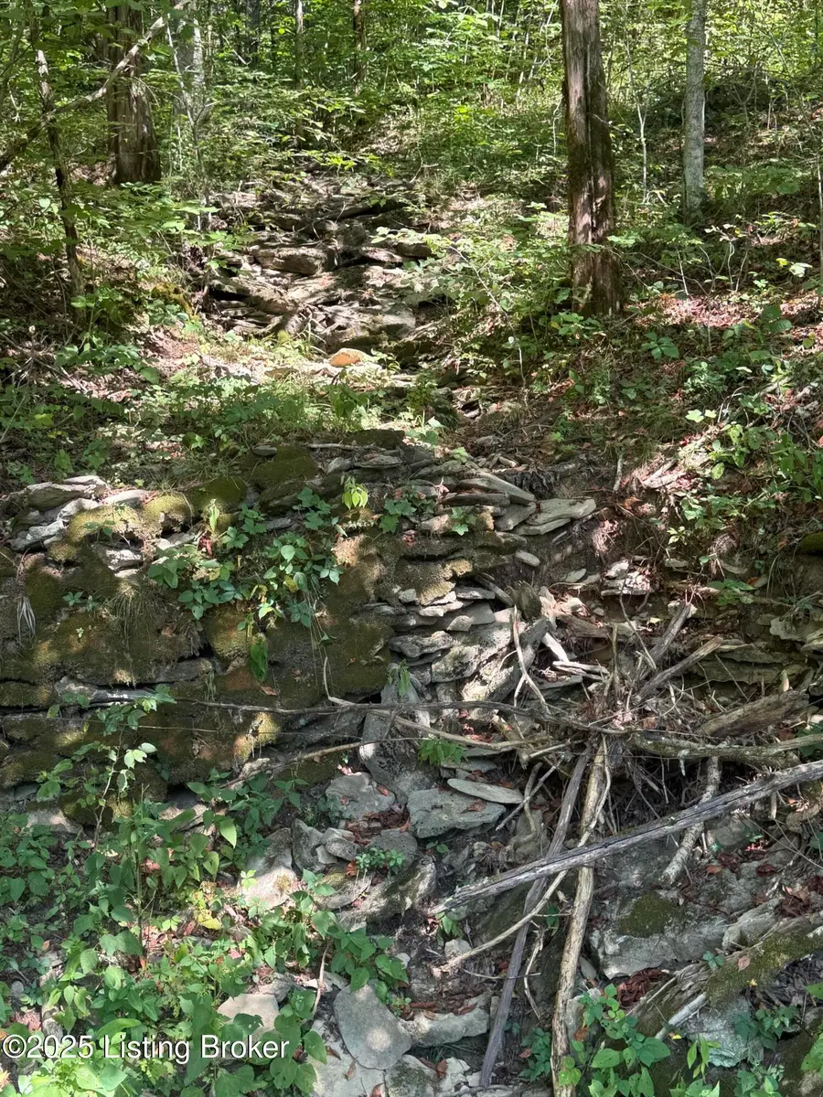 1588 Crooked Creek Rd, Lawrenceburg, KY 40342 - #3