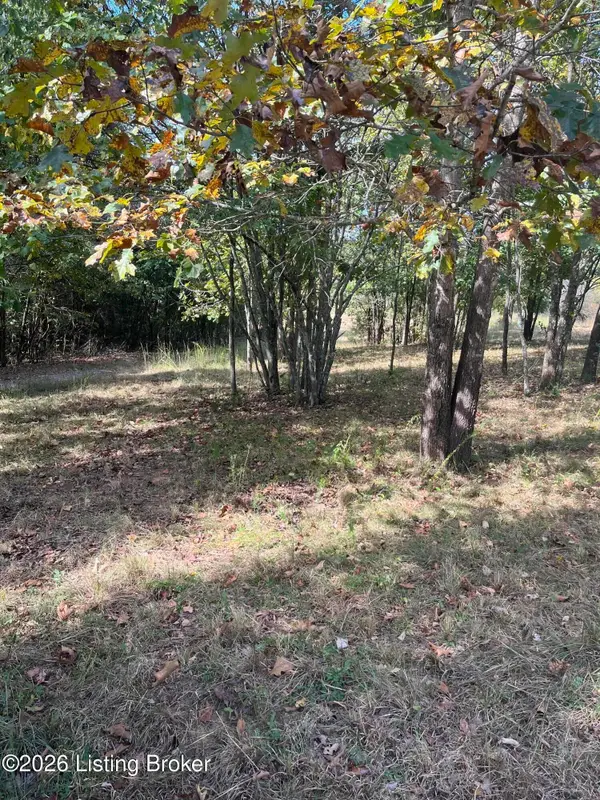 1234 Blain Cannon Dr, Falls Of Rough, KY 40119