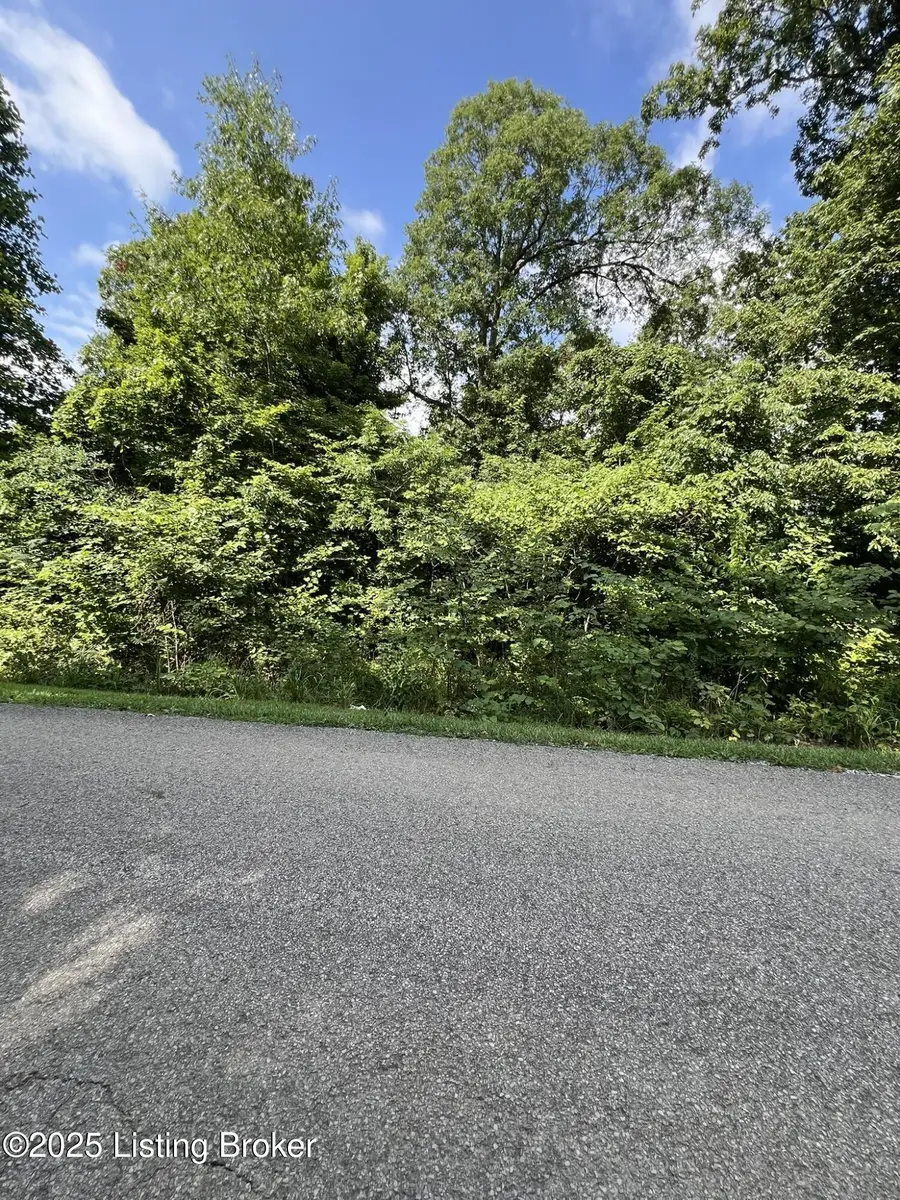 802 Stone Hill Rd, Mammoth Cave, KY 42259 - #2