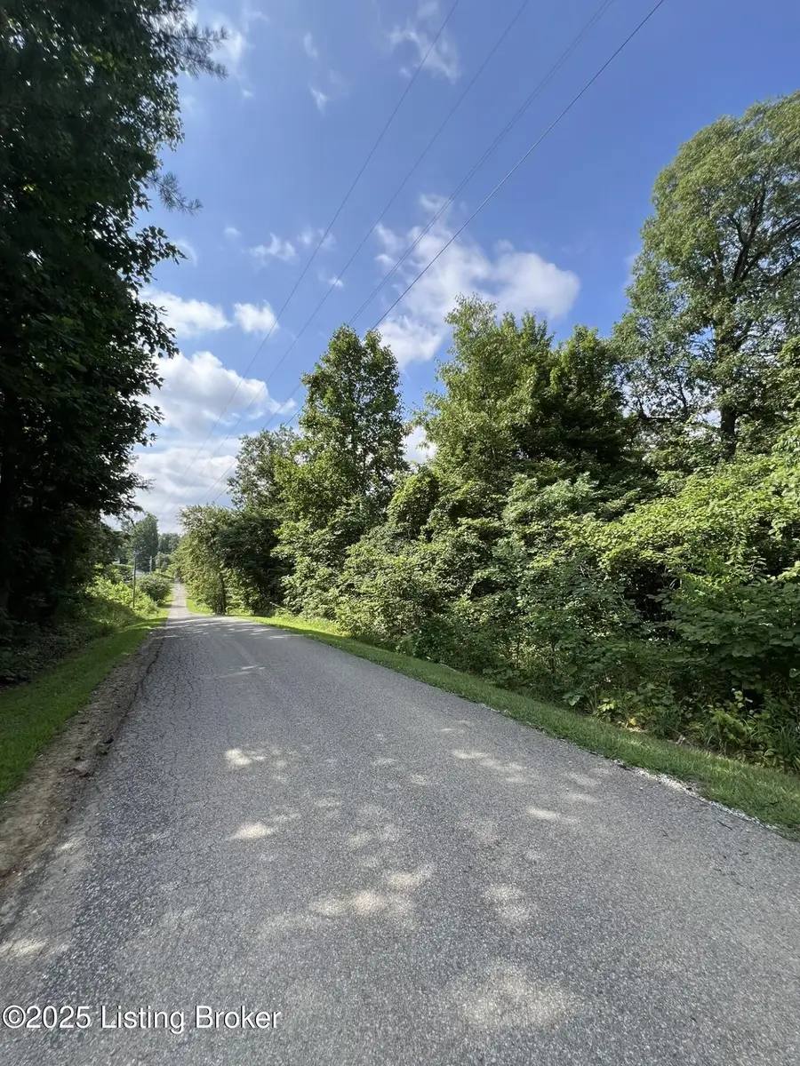802 Stone Hill Rd, Mammoth Cave, KY 42259 - #3
