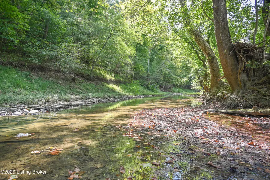 1925 Tick Creek Rd, Springfield, KY 40069 - #3