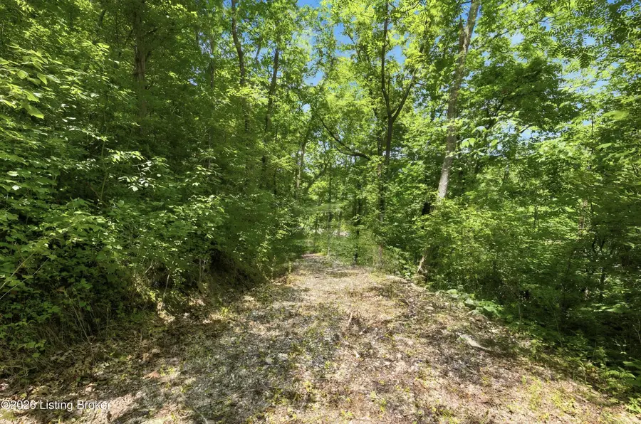 1411 Barebone Rd, Bedford, KY 40006 - #2