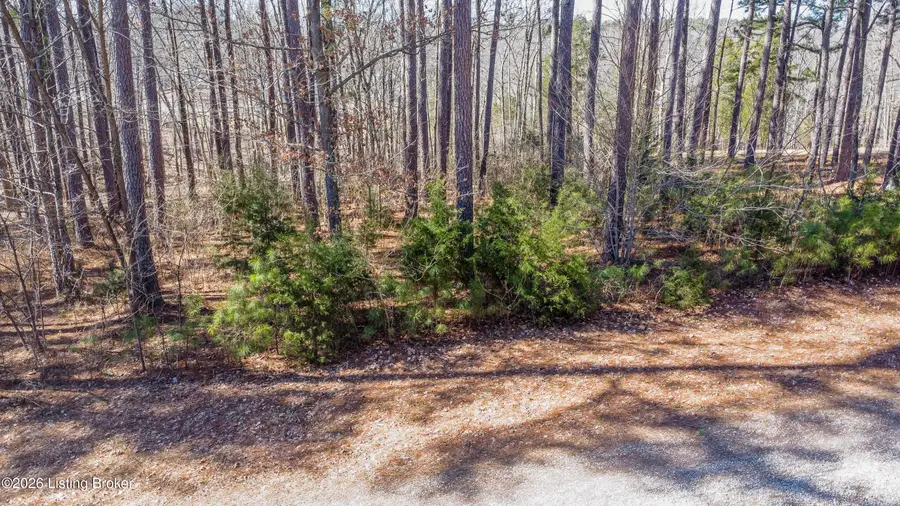 11 Marina Point Ln, Falls Of Rough, KY 40119 - #3