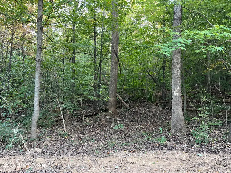 0014 Wildwood Ln, Caneyville, KY 42721 - #2