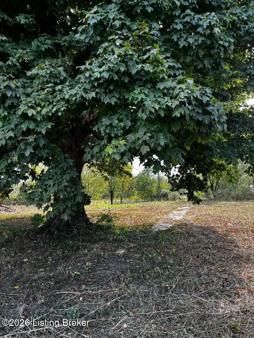 7567 Vigo Rd, Bagdad, KY 40003 - #3