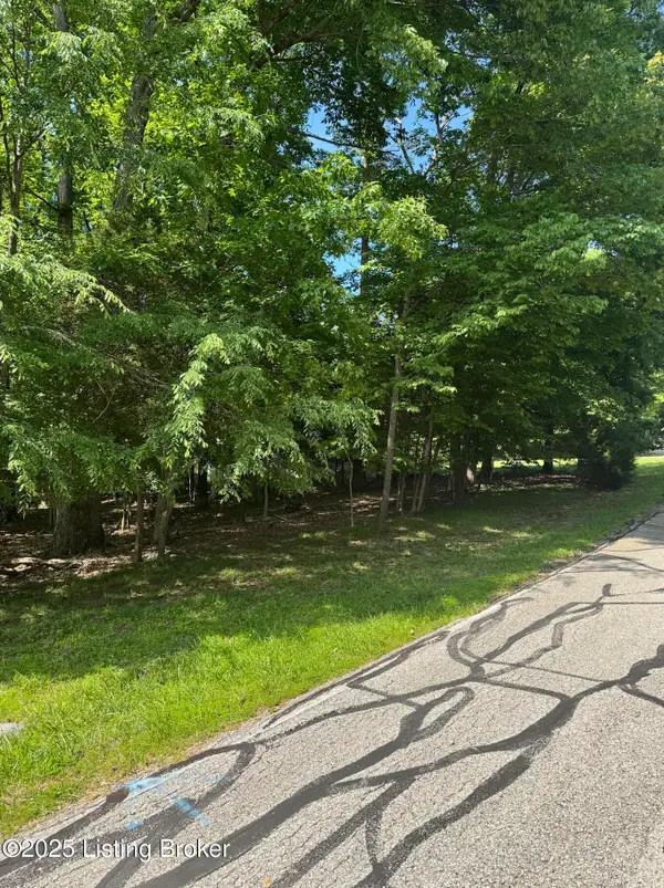 Lot 246 Pine Point Dr, Brandenburg, KY 40108