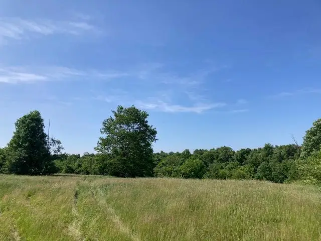 11147 Stafford Heights Road, Independence, KY 41051 - Image #3