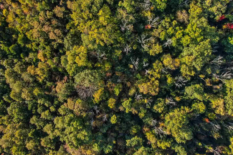 0 Bradford Road, Foster, KY 41043 - Image #3