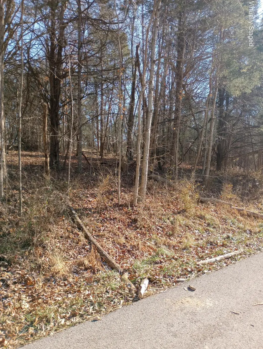 . Buckeye Hills Road, Falmouth, KY 41040 - Image #3