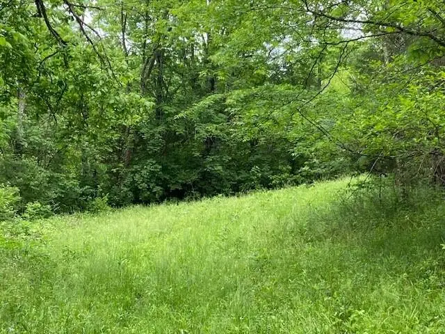 2864 Milford Road, Falmouth, KY 41040 - Image #3