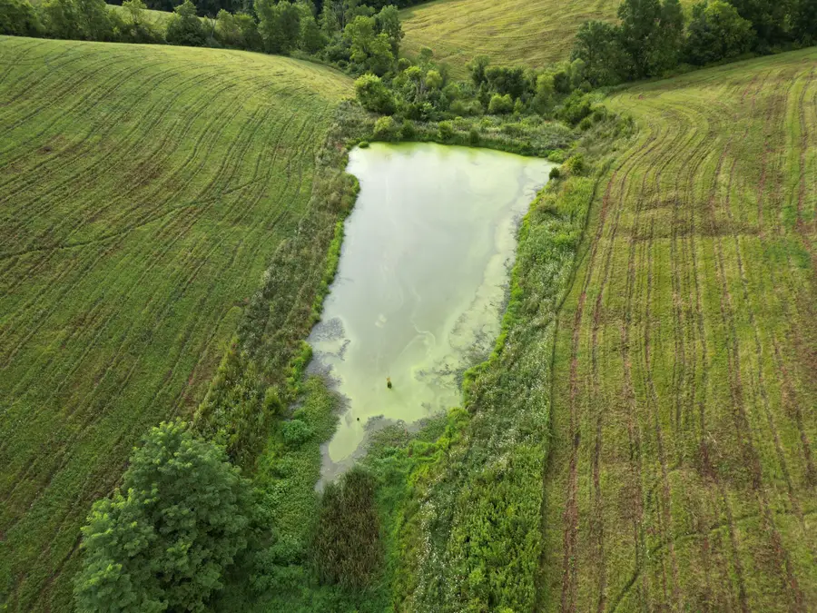 0 Hwy 22 And Hwy 227, Owenton, KY 40359 - Image #2