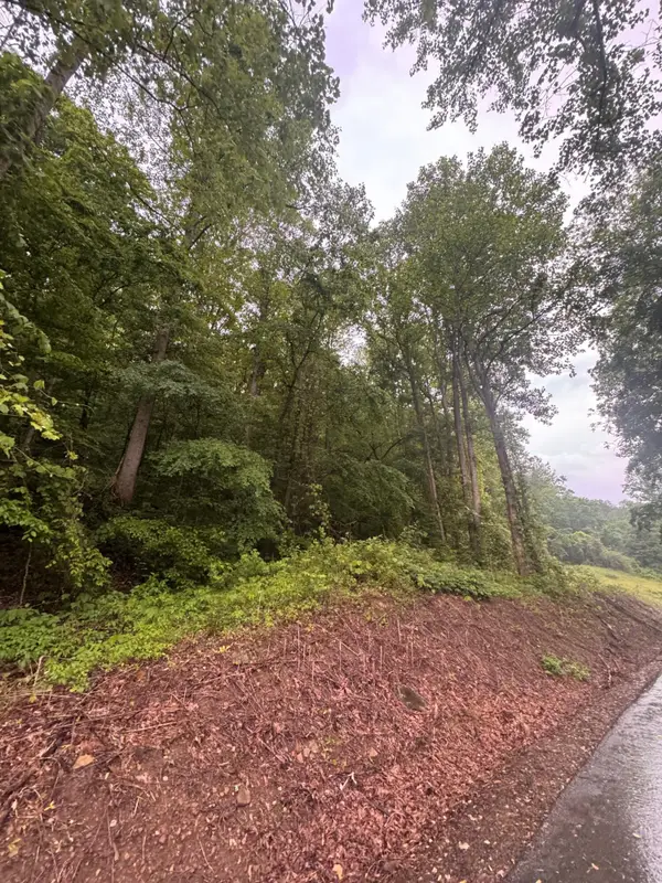 499 Little Bullskin Road, Oneida, KY 40972