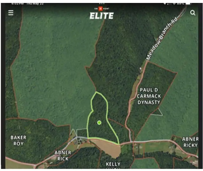 499 Little Bullskin Road, Oneida, KY 40972 - Image #2