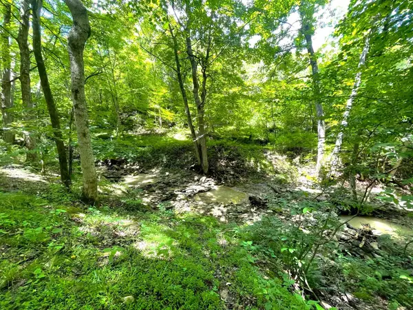 0 Lenoxburg Foster Road, Foster, KY 41043