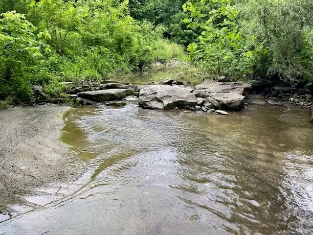 88 South Kennon Rd., Foster, KY 41043 - Image #3