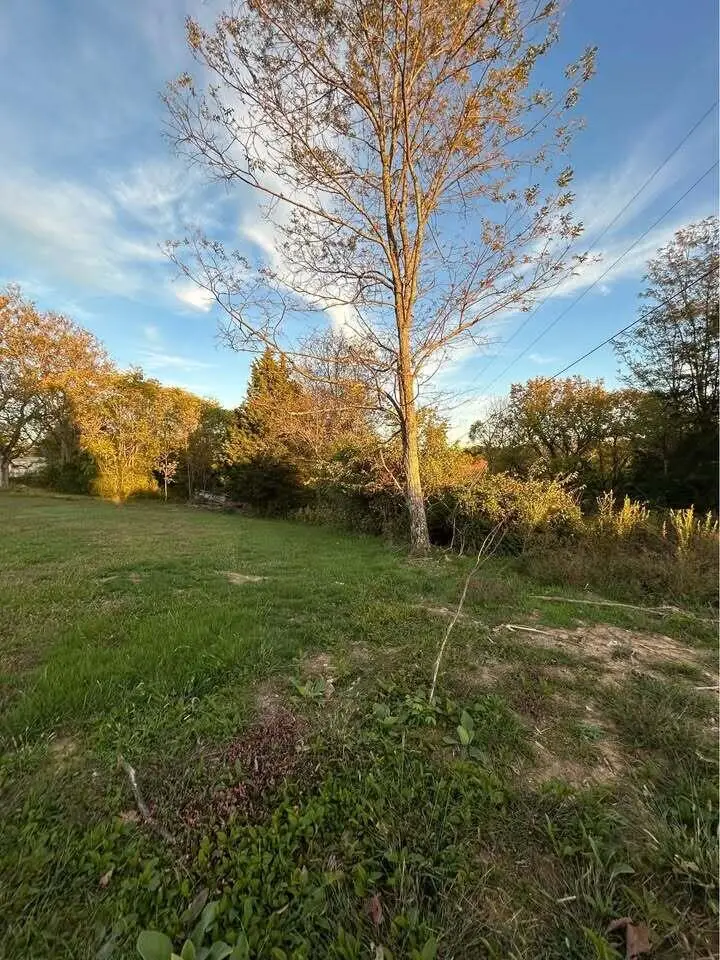 1547 Pinhook Road, Mount Olivet, KY 41064 - Image #2