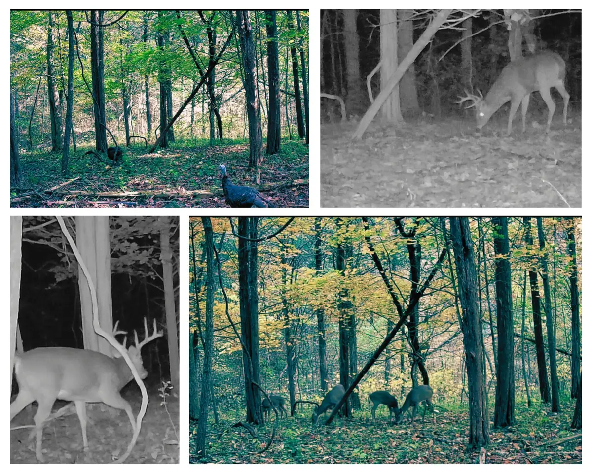 20.3 Lawrenceville Road, Williamstown, KY 41097 - Image #1