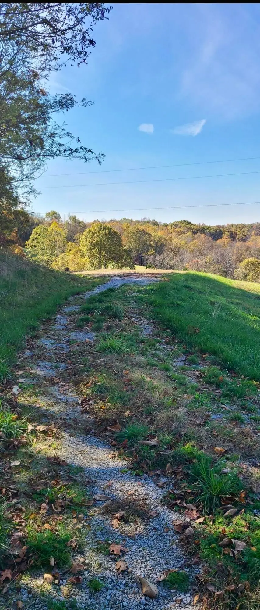 20.3 Lawrenceville Road, Williamstown, KY 41097 - Image #2