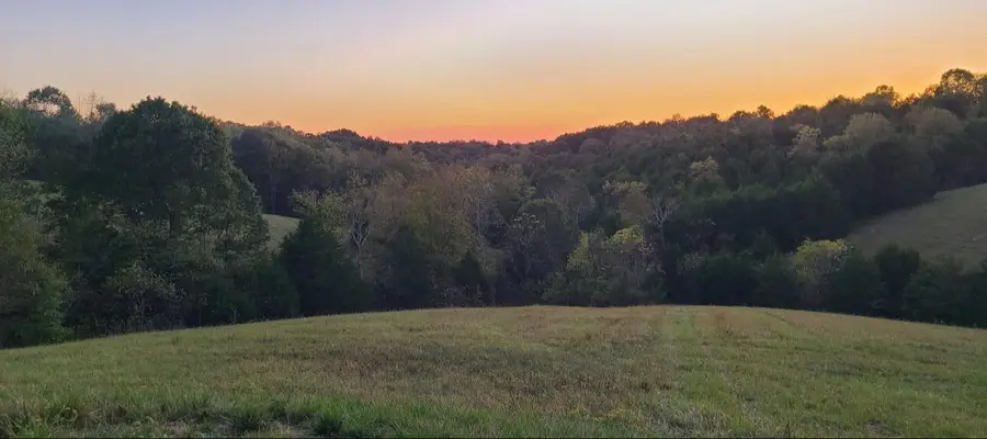 20.3 Lawrenceville Road, Williamstown, KY 41097 - Image #3