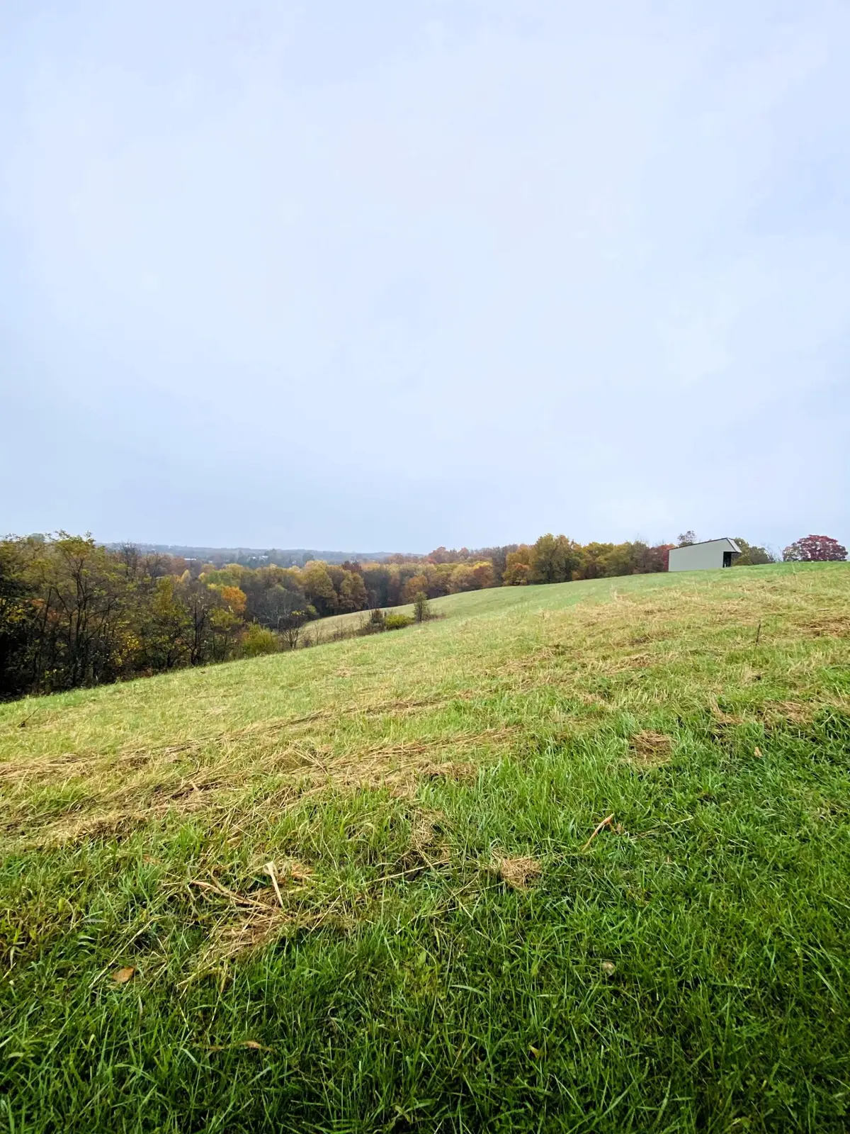 15.05 Ac Stringtown Road, Corinth, KY 41010 - Image #1