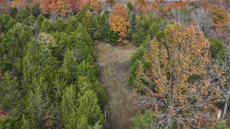 2300 Herman Green Road, Owenton, KY 40359 - Image #2