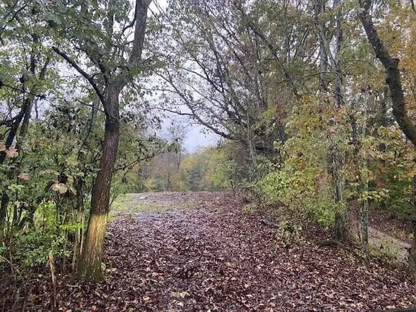 881 Galbraith Road, Brooksville, KY 41004