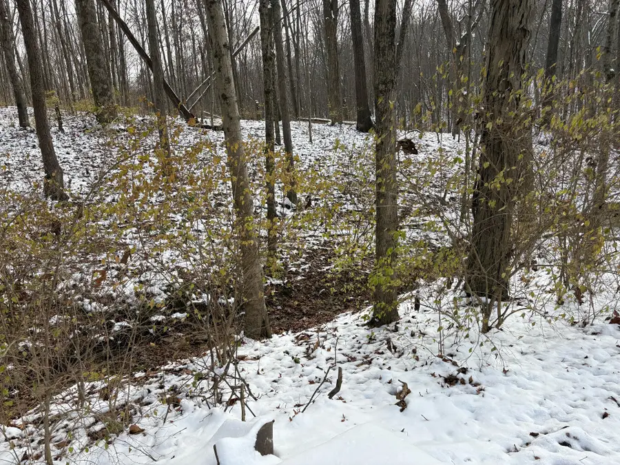 310 Oakwood Drive, Crittenden, KY 41030 - Image #3