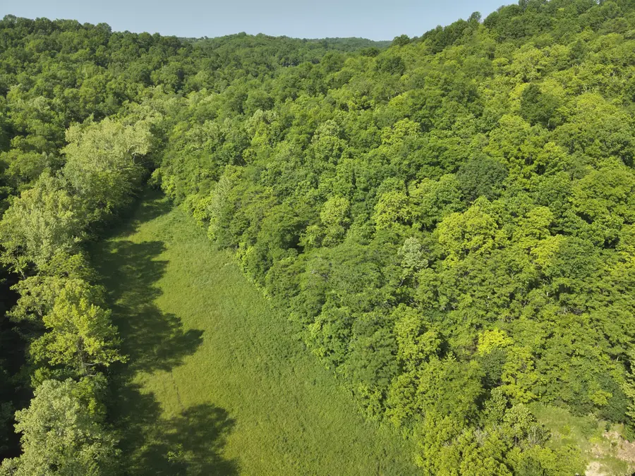 00 S Kennon Road, Foster, KY 41043 - Image #2