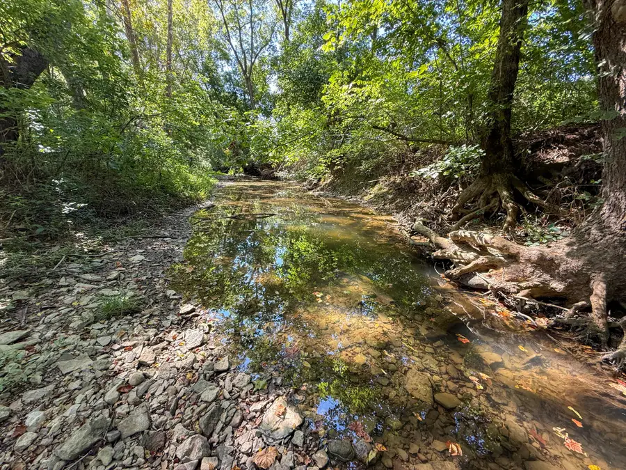 10008 Riddles Run Road, Union, KY 41091 - Image #3