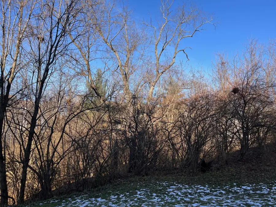 636 Morven Park Drive #6A, Walton, KY 41094 - Image #3