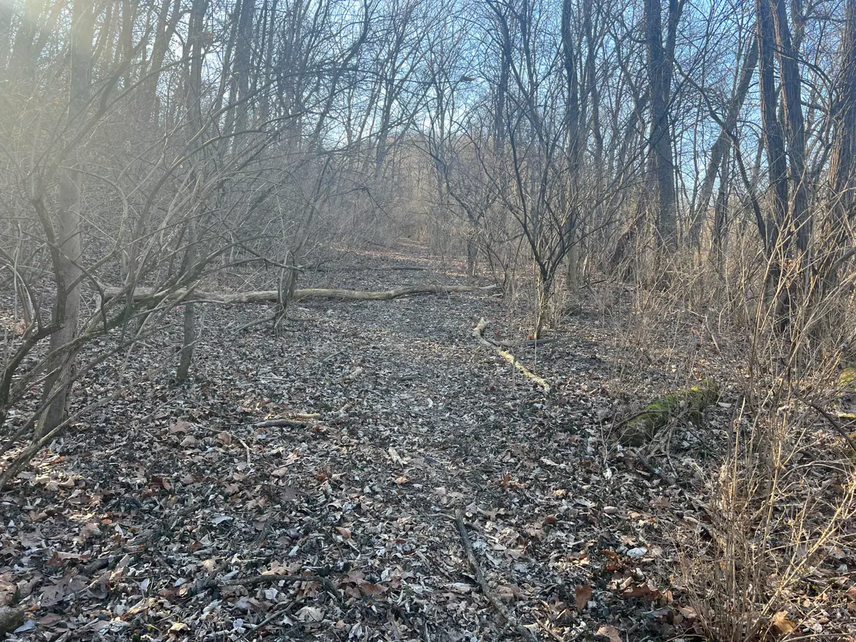 4840 Kollman Avenue, Covington, KY 41015 - Image #1