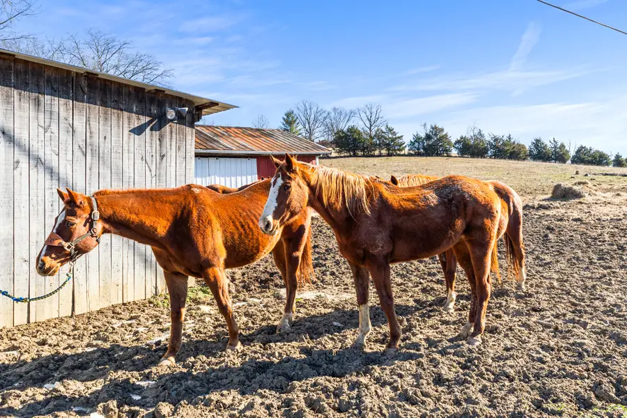 6116 Highway 17, Demossville, KY 41033 - Image #3