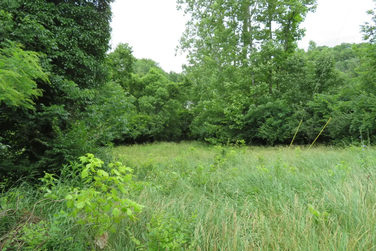 1175 Waterworks Road, Newport, KY 41071 - Image #1