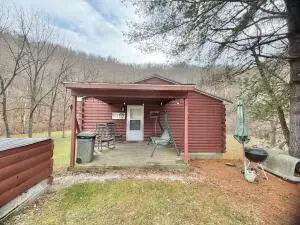 1439 Wolf Creek Road, Pilgrim, KY 41250 - #2