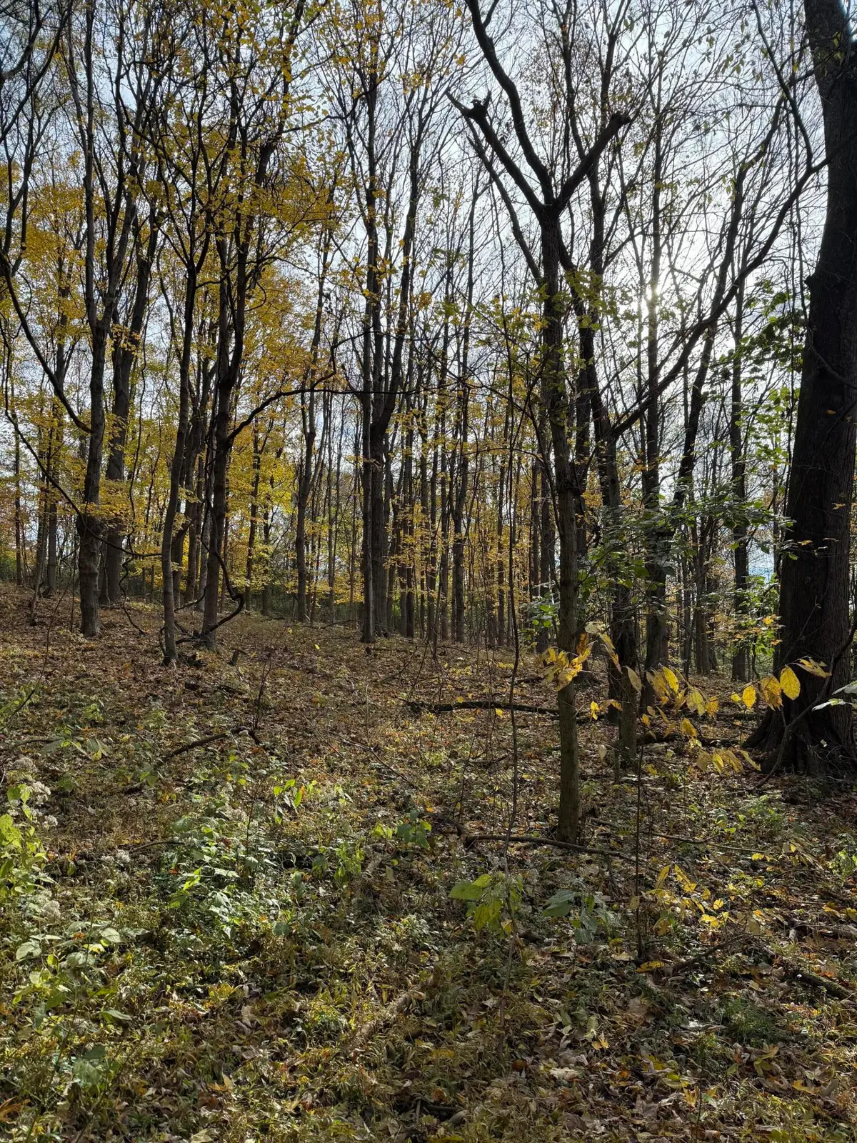 16.12D Ashby Fork Road, Petersburg, KY 41080 - Image #1