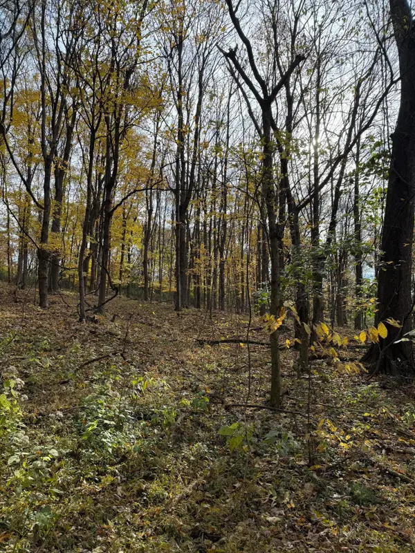 16.12D Ashby Fork Road, Petersburg, KY 41080