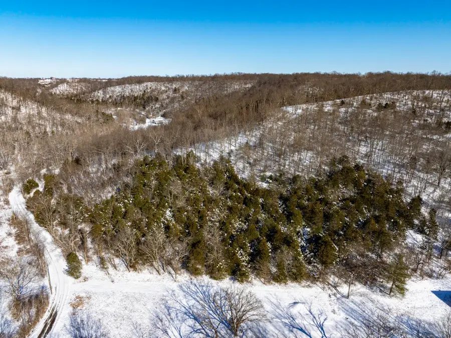 0 Lockmier 5+/- Acres Road, Augusta, KY 41002 - Image #3