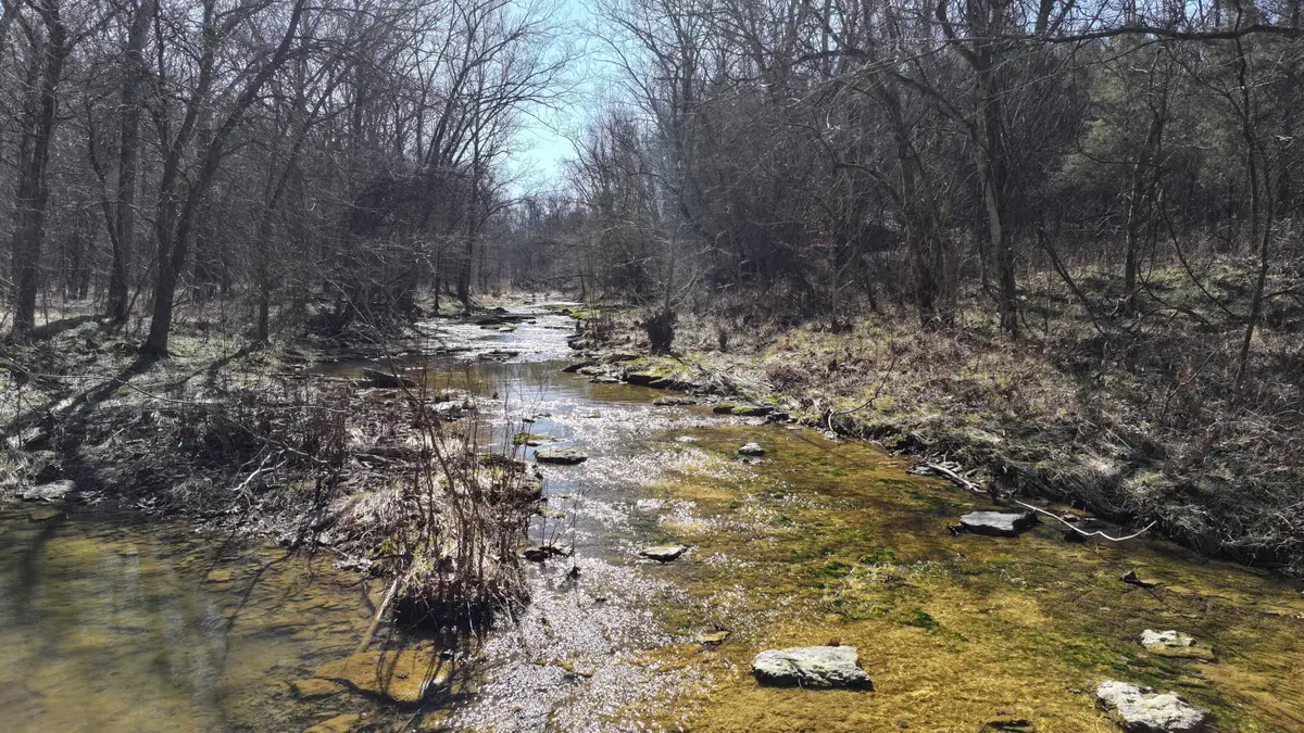 85 ac +/- Teresita Road, Owenton, KY 40359 - #1