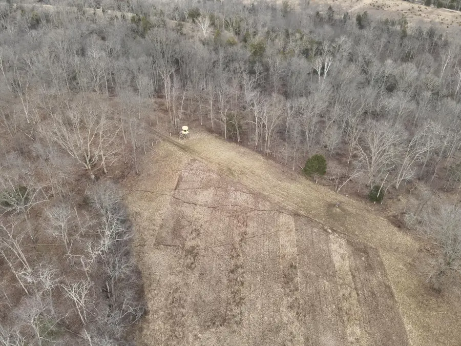 1390 Belmont Road, Brooksville, KY 41004 - #3