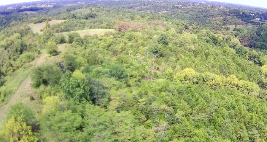 Tract 1 Delaney Road, Corinth, KY 41010 - #3