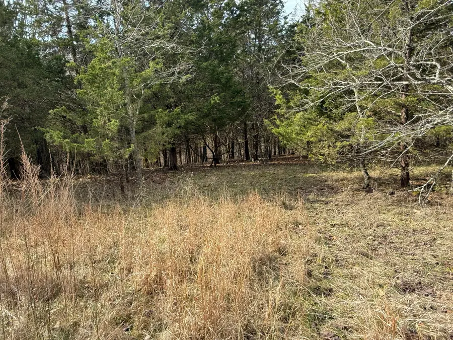 0 Mattox Road, Falmouth, KY 41040 - #3