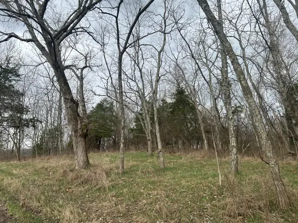 6 Lot New Zion Road, Falmouth, KY 41040